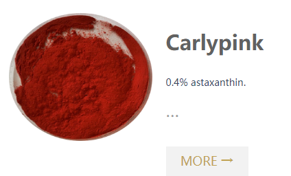 Carlpink-astaxanthin from zhejiang vega.png